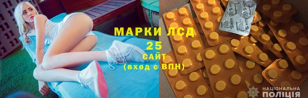 индика Медногорск