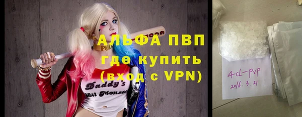 индика Медногорск