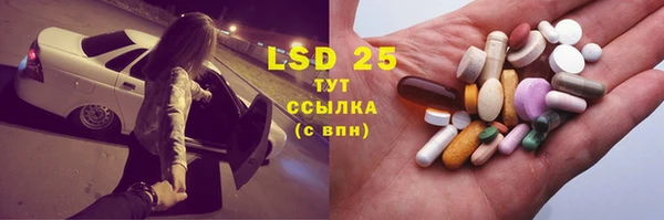 индика Медногорск