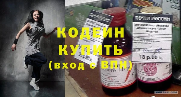 индика Медногорск