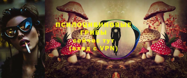 МДМА Медвежьегорск