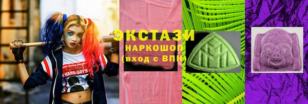 индика Медногорск