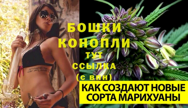 индика Медногорск