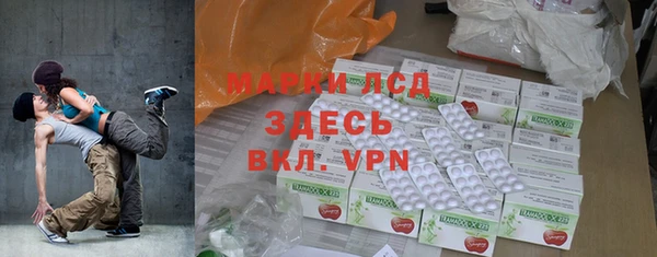 индика Медногорск
