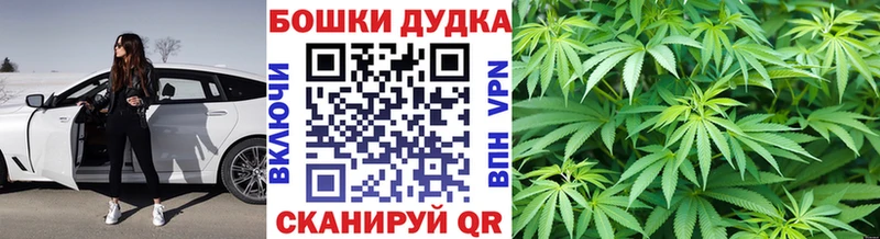 где можно купить   Дыгулыбгей  МАРИХУАНА VHQ 